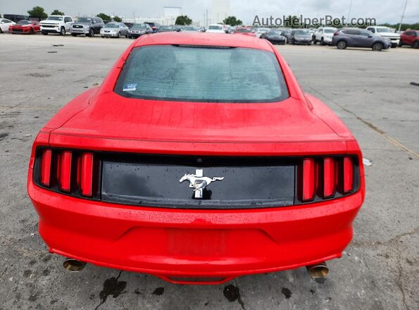 1FA6P8AM3G5272003 2016 FORD MUSTANG Красный Вид сзади