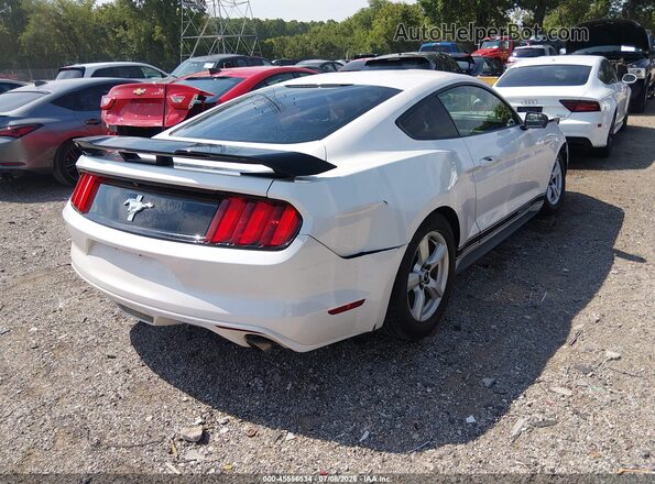 1FA6P8AM4H5230585 2017 FORD MUSTANG White Задня права чверть