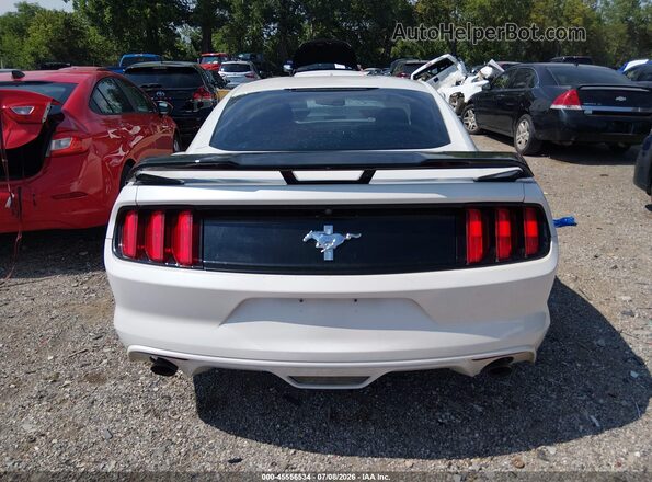 1FA6P8AM4H5230585 2017 FORD MUSTANG White 