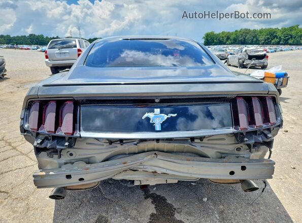 1FA6P8AM5G5219223 2016 FORD MUSTANG Gray Widok z tyłu