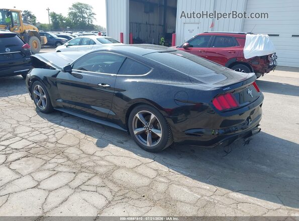 1FA6P8AM5G5241383 2016 FORD MUSTANG Black Rear left