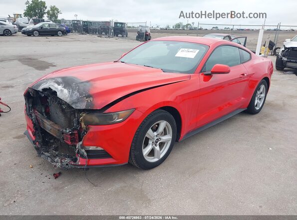 1FA6P8AM5G5284072 2016 FORD MUSTANG Red Front left