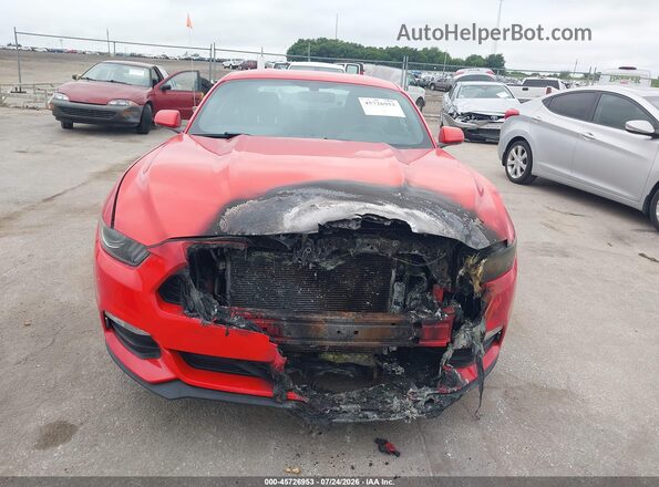 1FA6P8AM5G5284072 2016 FORD MUSTANG Red Front view