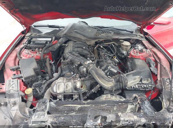 1FA6P8AM5G5284072 2016 FORD MUSTANG Red Rear view