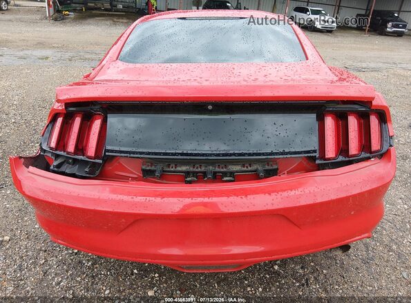 1FA6P8AM8G5205106 2016 FORD MUSTANG Red 
