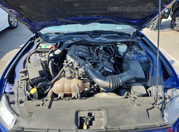 1FA6P8AM8G5257366 2016 FORD MUSTANG Синий Вид задней части салона