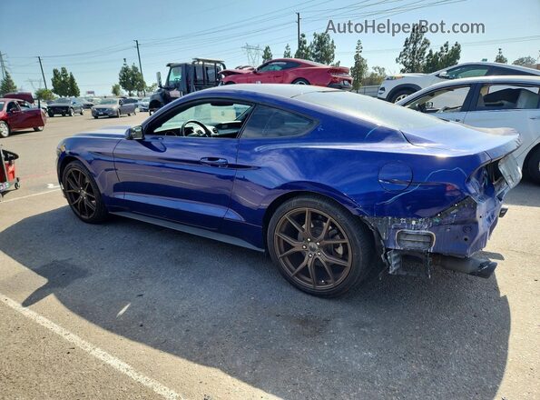 1FA6P8AM8G5257366 2016 FORD MUSTANG Синий Задняя левая четверть