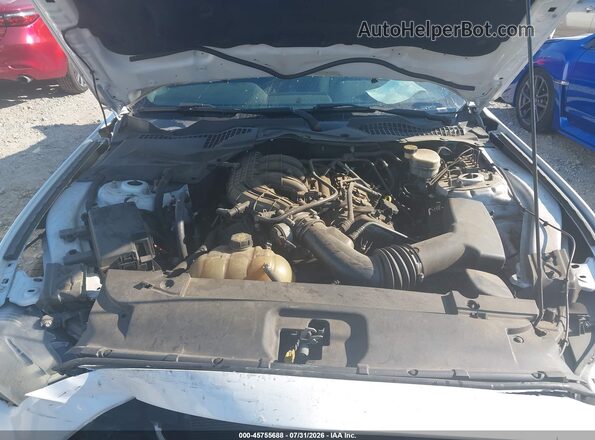 1FA6P8AM8G5288732 2016 FORD MUSTANG Белый Вид сзади