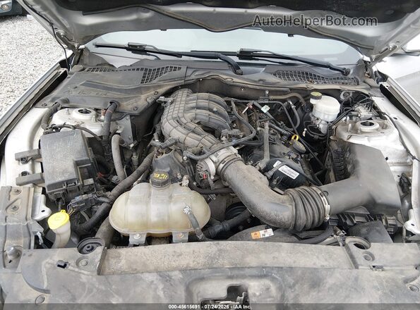 1FA6P8AM8G5327142 2016 FORD MUSTANG Silver Widok z tyłu