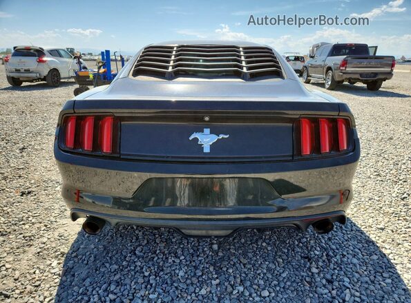 1FA6P8AM8H5202319 2017 FORD MUSTANG Black Вид ззаду