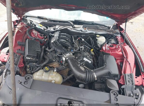 1FA6P8AM9G5332320 2016 FORD MUSTANG Red Rear view