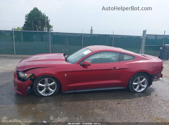 1FA6P8AM9G5332320 2016 FORD MUSTANG Red 