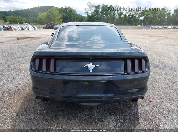 1FA6P8AM9H5343819 2017 FORD MUSTANG Black 