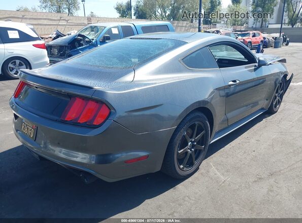 1FA6P8AMXG5230427 2016 FORD MUSTANG Gray Trasero derecho