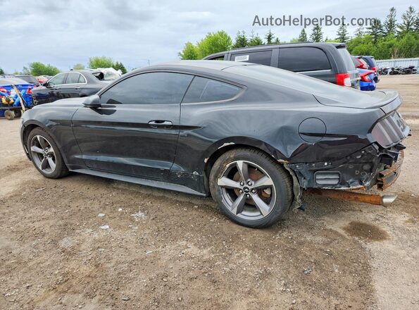 1FA6P8AMXH5314832 2017 FORD MUSTANG Black Tył lewy