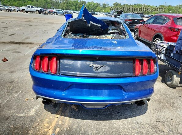 1FA6P8CF0H5263842 2017 FORD MUSTANG Blue Հետևի տեսք