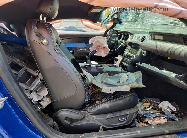 1FA6P8CF0H5263842 2017 FORD MUSTANG Blue Հետևի նստատեղերի տեսք