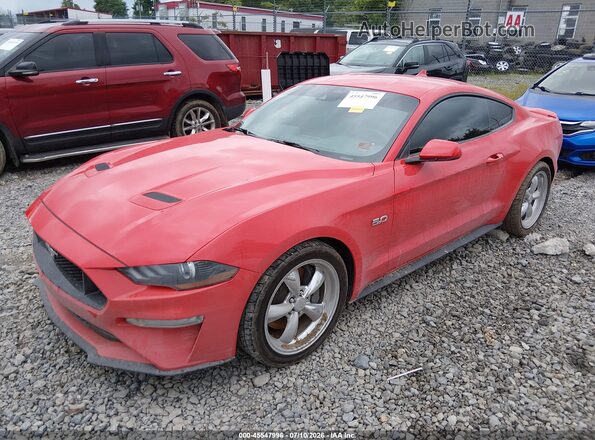 1FA6P8CF0P5305389 2023 FORD MUSTANG Red Առջևի ձախ երեք քառորդ տեսարան