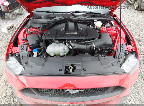1FA6P8CF0P5305389 2023 FORD MUSTANG Red Հետևի տեսք