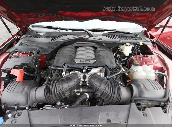 1FA6P8CF0R5416673 2024 FORD MUSTANG Red Vista trasera