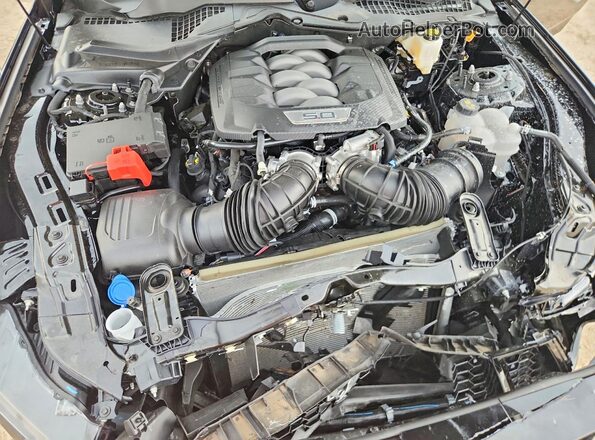 1FA6P8CF0T5403963 2026 FORD MUSTANG Black Widok wnętrza z tyłu