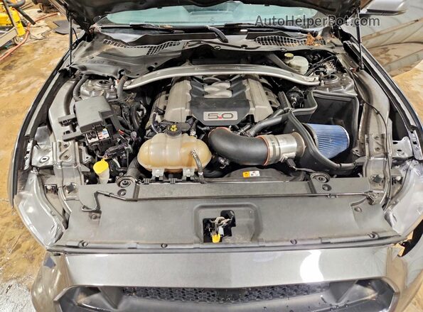 1FA6P8CF1H5224337 2017 FORD MUSTANG Серый Вид задней части салона