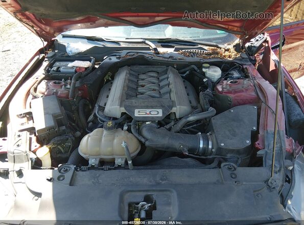 1FA6P8CF2G5243784 2016 FORD MUSTANG Red Rear view