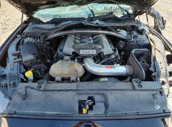 1FA6P8CF2G5294878 2016 FORD MUSTANG Черный Вид задней части салона