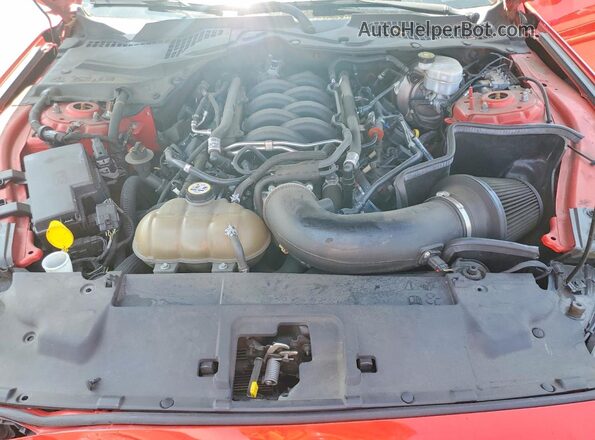 1FA6P8CF2K5153057 2019 FORD MUSTANG Red Вид задньої частини салону
