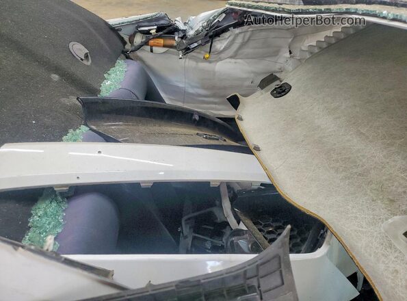 1FA6P8CF2K5201141 2019 FORD MUSTANG White Հետևի նստատեղերի տեսք