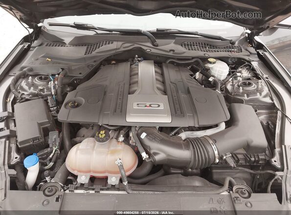 1FA6P8CF2L5126457 2020 FORD MUSTANG Gray Вид ззаду