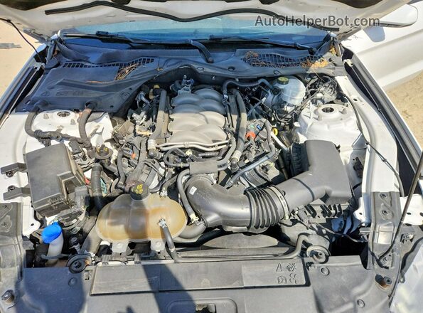 1FA6P8CF2L5142691 2020 FORD MUSTANG Белый Вид задней части салона