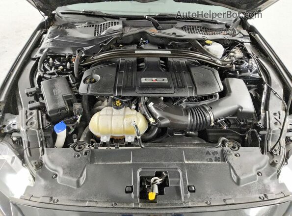 1FA6P8CF2M5102676 2021 FORD MUSTANG Black Вид задньої частини салону