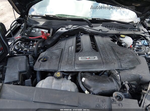 1FA6P8CF2M5113631 2021 FORD MUSTANG Black უკანა ხედი