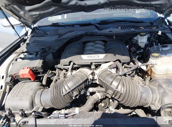 1FA6P8CF2R5409059 2024 FORD MUSTANG Gray Widok z tyłu