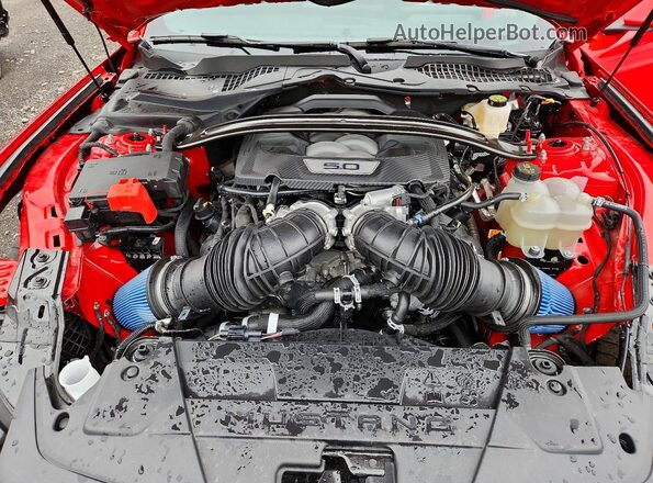 1FA6P8CF2R5428355 2024 FORD MUSTANG Красный Вид задней части салона