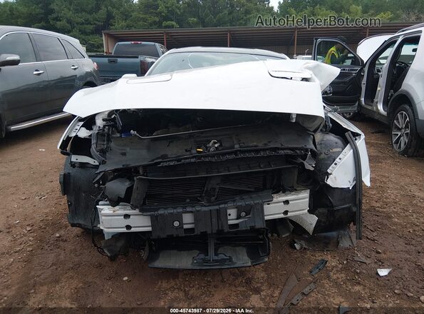 1FA6P8CF3K5122075 2019 FORD MUSTANG Белый Вид задней части салона