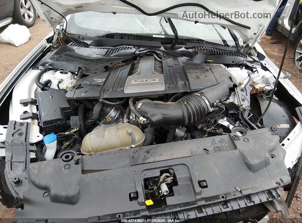 1FA6P8CF3K5122075 2019 FORD MUSTANG Белый Вид сзади