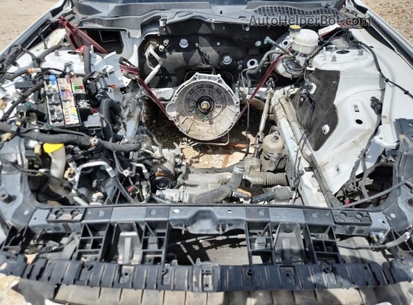 1FA6P8CF3K5202086 2019 FORD MUSTANG White 