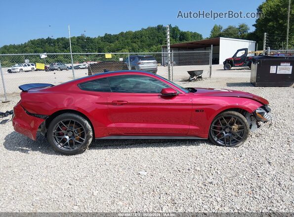 1FA6P8CF3L5146037 2020 FORD MUSTANG Red Вид задньої частини салону