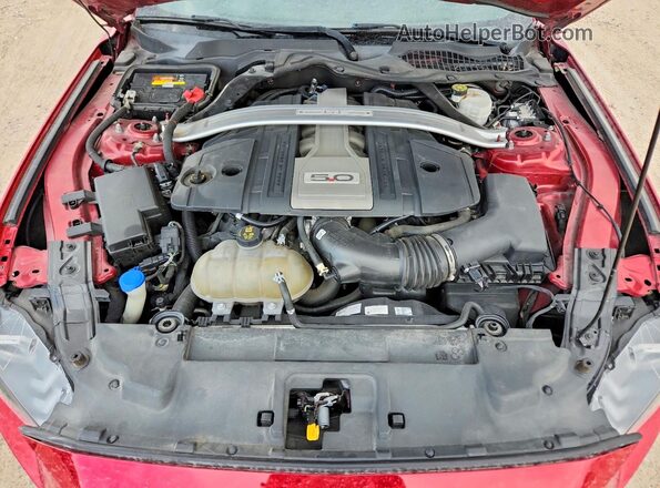 1FA6P8CF3L5168779 2020 FORD MUSTANG Red Սալոնի հետևի տեսք