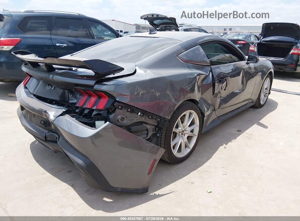 1FA6P8CF3R5420314 2024 FORD MUSTANG Gray Tył prawy