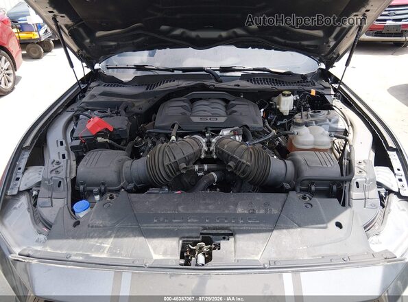 1FA6P8CF3R5420314 2024 FORD MUSTANG Gray Widok z tyłu