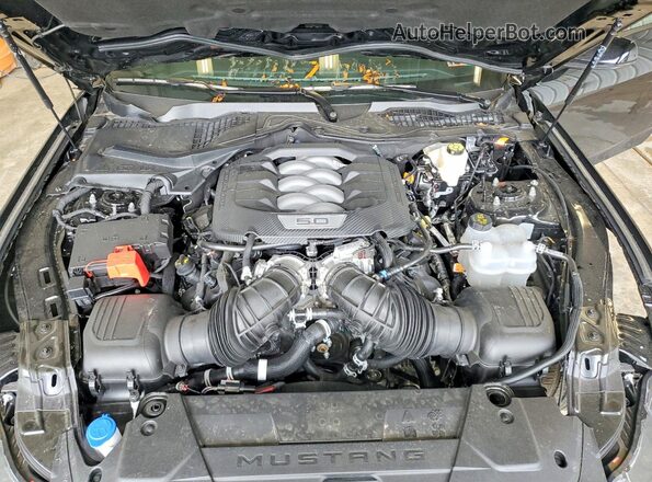 1FA6P8CF3T5399844 2026 FORD MUSTANG Black Widok wnętrza z tyłu