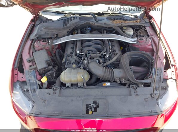 1FA6P8CF4H5336243 2017 FORD MUSTANG Red Widok z tyłu