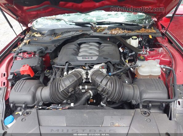 1FA6P8CF4R5407281 2024 FORD MUSTANG Красный Вид сзади