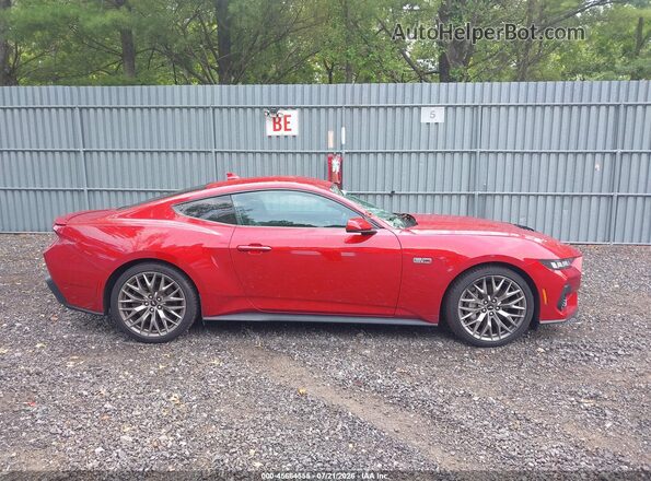 1FA6P8CF4R5407281 2024 FORD MUSTANG Красный Вид задней части салона