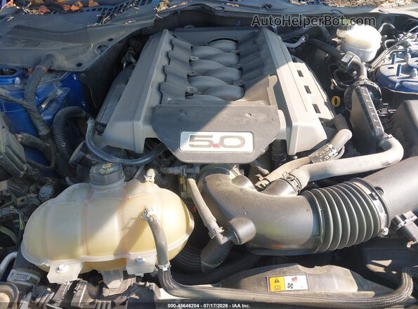 1FA6P8CF5H5240590 2017 FORD MUSTANG Синий Вид сзади