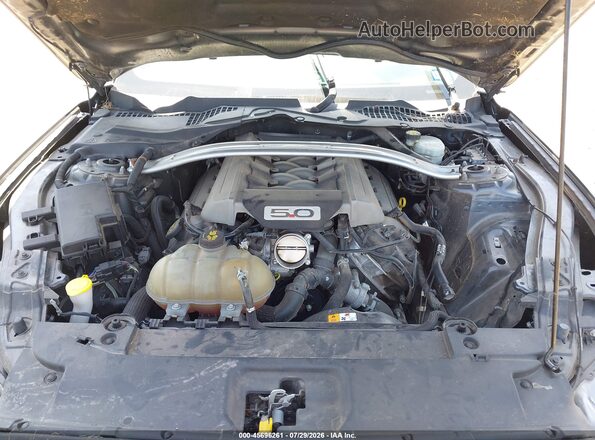 1FA6P8CF5H5329480 2017 FORD MUSTANG Серый Вид сзади