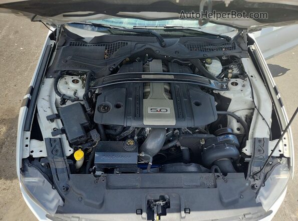 1FA6P8CF5J5170255 2018 FORD MUSTANG White Vista interior trasera